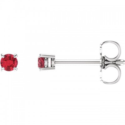 14kt White 2.5mm Round Ruby Earrings